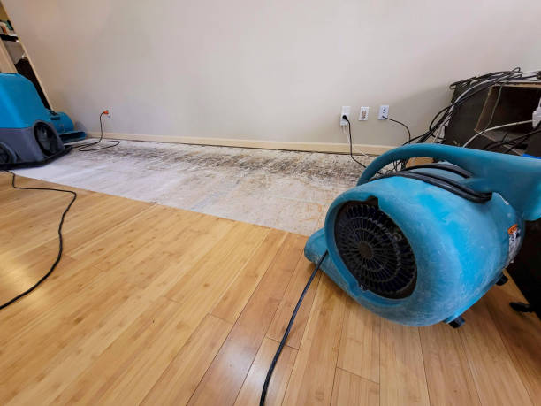 Professional Water Removal technician working in Gettysburg, SD